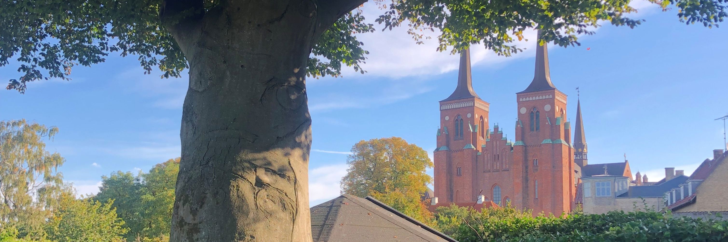 Roskilde domkirke